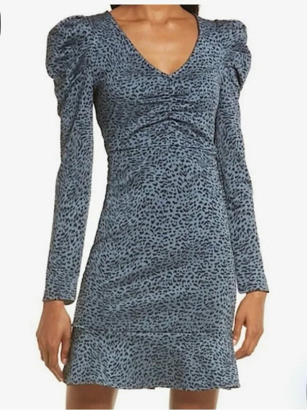 Chelsea28 Blue Leopard Print Ruched V-Neck Mini Dress